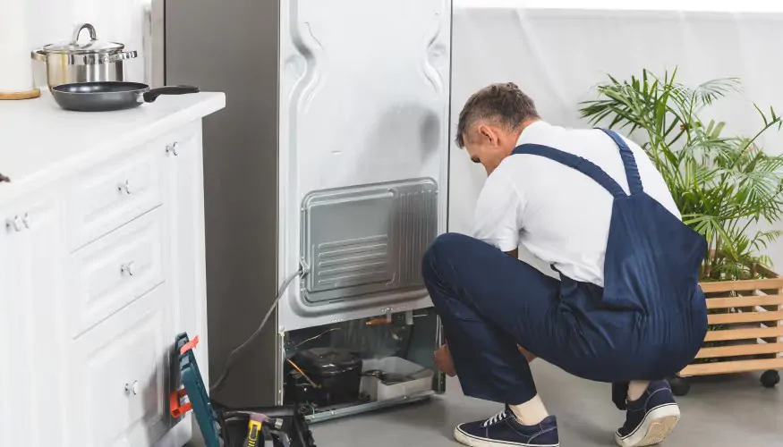 Que servicios de reparacion de frigorificos tienen mejores calificaciones en Barcelona - &iquest;Qu&eacute; servicios de reparaci&oacute;n de frigor&iacute;ficos tienen las mejores calificaciones en Barcelona?